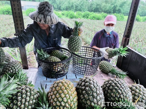 ▲斗六市長林聖爵購買2千8百多杯鮮果汁分送成大醫院、臺大醫院、慈濟醫院及快打站，同時補醫護健康也幫助農民。（圖／記者蔡佩旻翻攝）