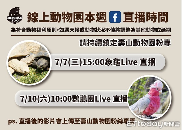 ▲LIVE／世界前3大！象龜疫情期間如何耍廢　壽山動物園直播給你看。（圖／翻攝自壽山動物園）