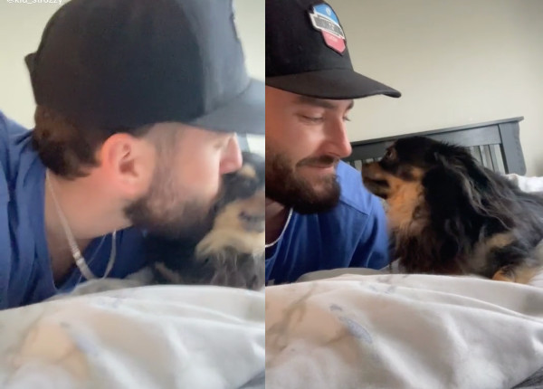 吉娃娃被親親 當機 眼神飄移 超反差結局網喊 不吉格 Ettoday寵物雲 Ettoday新聞雲