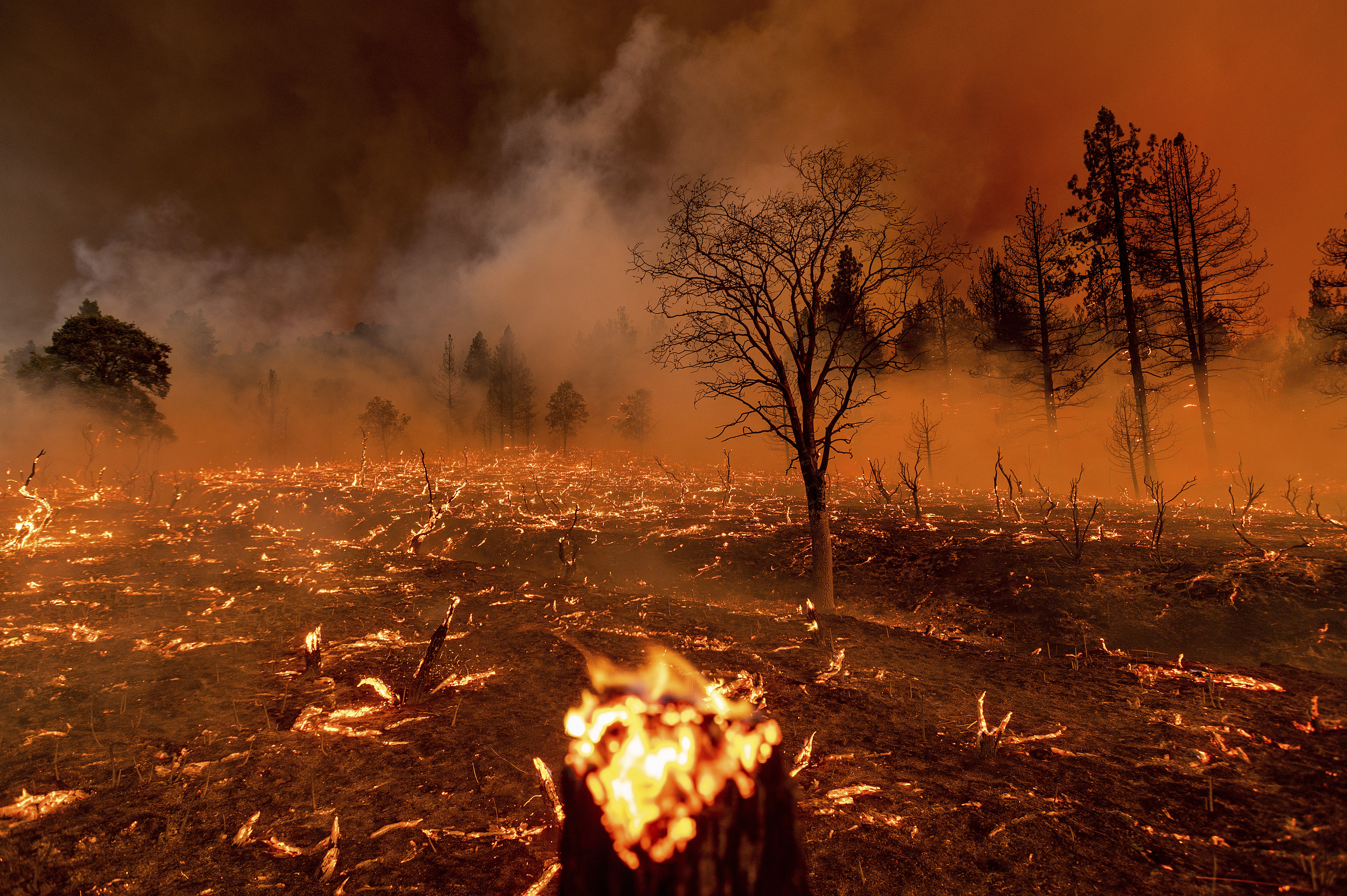 ▲▼美國加州內華達山脈北部出現貝克沃斯複合型大火。（圖／達志影像／美聯社）
