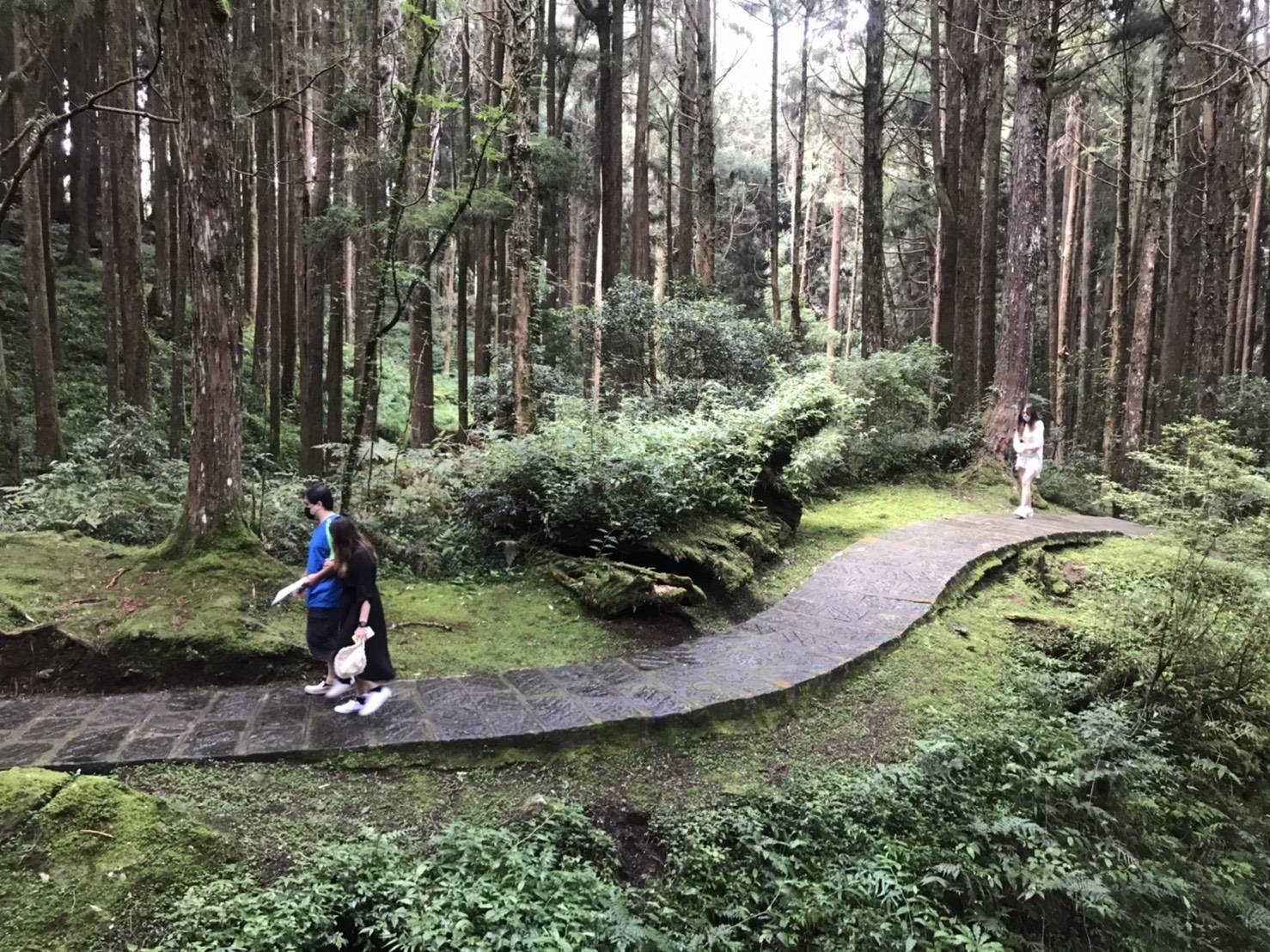 ▲阿里山國家森林遊樂區微解封。（圖／嘉義林管處提供）