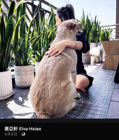 四月初蕭亞軒秀出和愛犬的合照，照片中的陽台景緻和她與黃皓同居的愛巢明顯不同。（圖／翻攝自蕭亞軒臉書）