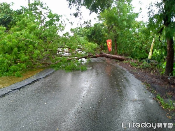 ▲台南山區下午發生急降雨，造成水淹道路、路樹傾倒及電擊停電，台南市警白河分局派員警戒，協助排除障礙。（圖／記者林悅翻攝，下同）