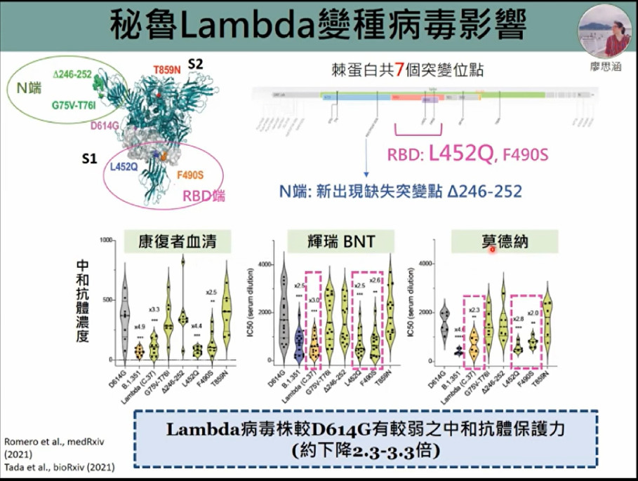 ▲▼祕魯變種病毒株對疫苗影響。（圖／翻攝新冠肺炎科學防疫園地直播畫面）