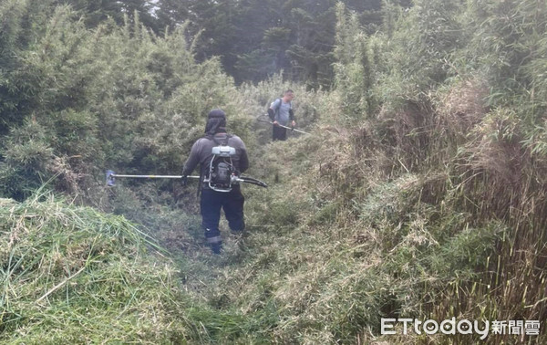 ▲高山協作員於桃山步道進行砍草作業。（圖／記者黃孟珍翻攝）