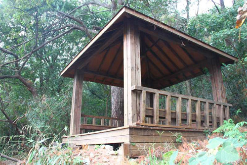 ▲▼有山友趁微解封的首個周末去德芙蘭步道，竟然聽到黑熊吼叫聲。（圖／記者鄧木卿翻攝）