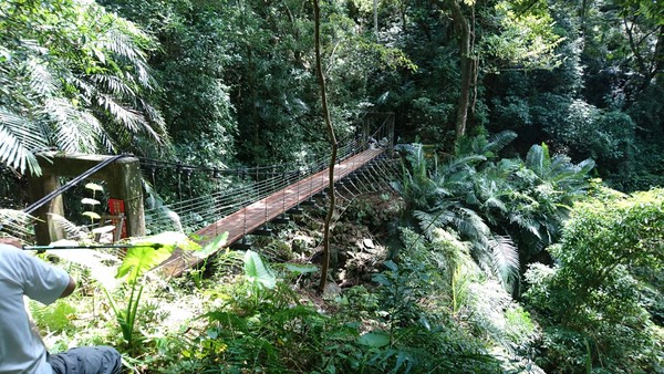 ▲▼有山友趁微解封的首個周末去德芙蘭步道，竟然聽到黑熊吼叫聲。（圖／記者鄧木卿翻攝）