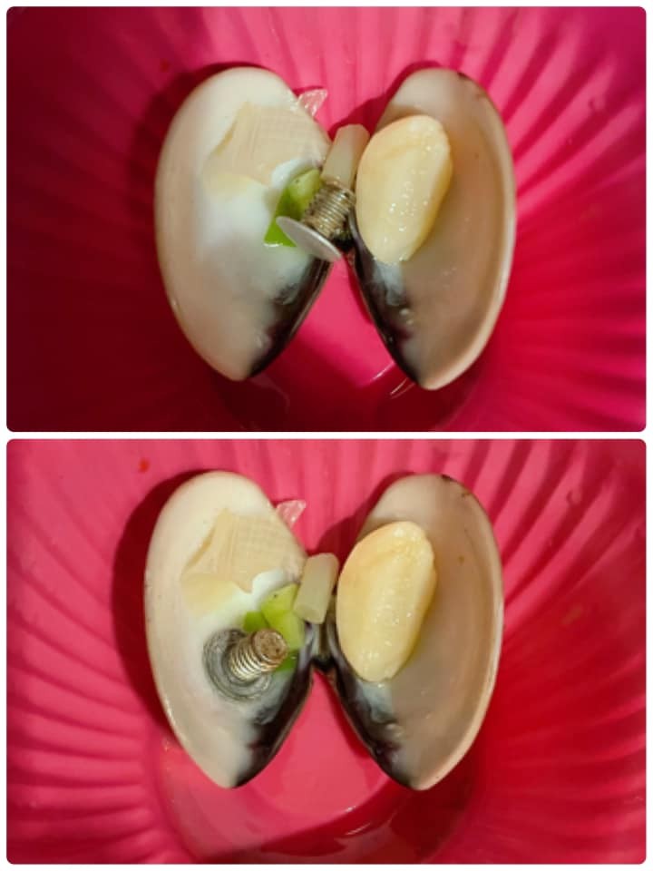 ▲▼蛤蜊吐螺絲。（圖／翻攝自爆怨2公社）