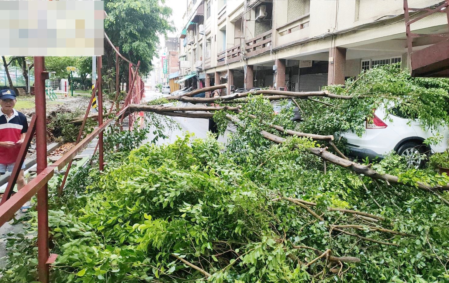 ▲「煙花」颱風在台灣東部外海持續逼近中，外圍環流帶來強風豪雨，桃園區四維街路樹倒塌，壓壞2輛轎車，警方協助清理。（圖／記者沈繼昌翻攝）