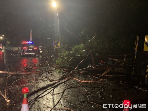 ▲▼受烟花颱風，桃園市龜山區降下大雨，5棵路樹滑下山坡砸毀停放於路邊的汽車。（圖／記者沈繼昌翻攝，下同）