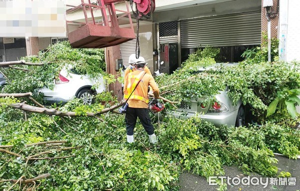 ▲桃園區四維街22日清晨因路樹倒塌，壓壞2輛轎車，警方協助清理。（圖／記者沈繼昌翻攝）