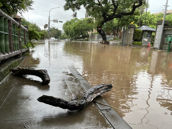 ▲▼北投溫泉路發生土石鬆動，造成路樹坍塌壓到路邊停放車輛。（圖／民眾提供）