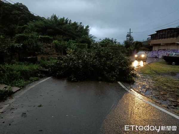 ▲原鄉暖警風雨中奮戰擋路樹　尖石往北得拉曼山提早恢復路暢。（圖／記者陳凱力翻攝）