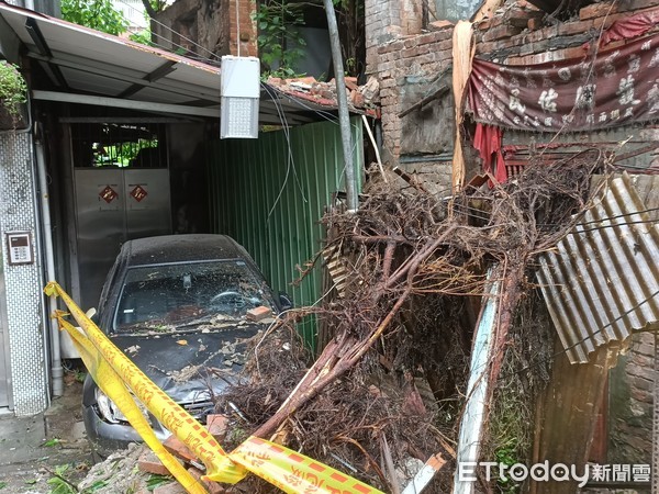▲▼萬華長泰街163巷內老舊房子無人照顧樹倒壓到鄰居車子。（圖／記者宋良義攝）