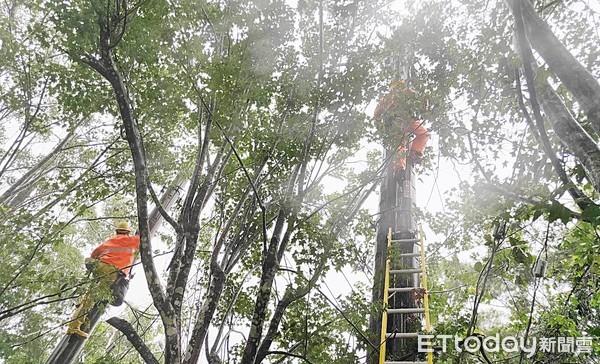 ▲「烟花」颱風雖未直撲台灣卻夾帶豐沛雨量，桃園市復興區三光里等地區23日晚間突然停電，台電工程人員清晨起冒雨搶修。（圖／記者沈繼昌翻攝）