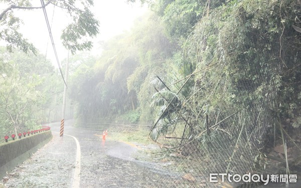 ▲「烟花」颱風夾帶豐沛雨量侵襲復興區，桃115線路段多處出現桂竹傾倒路面無法通行。（圖／記者沈繼昌翻攝）