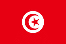 ▲突尼西亞國旗。（圖／取自ifreesite.com）