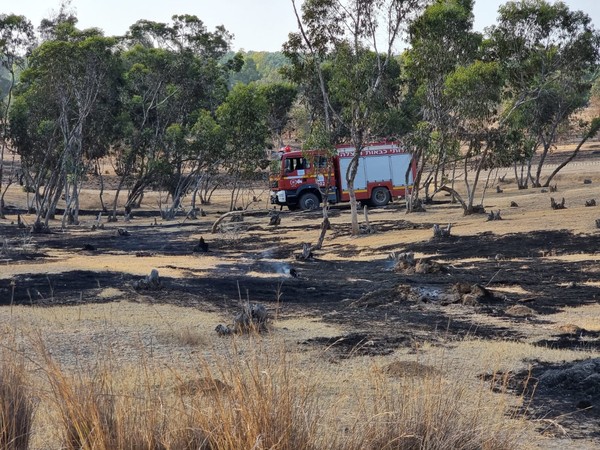 ▲▼以色列西南部叢林一度大火燃燒，火勢已被消防隊撲滅 。（圖／翻攝自推特）