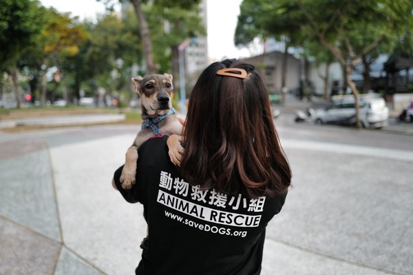 ▲台灣動物緊急救援小組幫助全台灣逾130個弱勢私人貓狗收容中心。（圖／動物緊急救援小組授權提供）