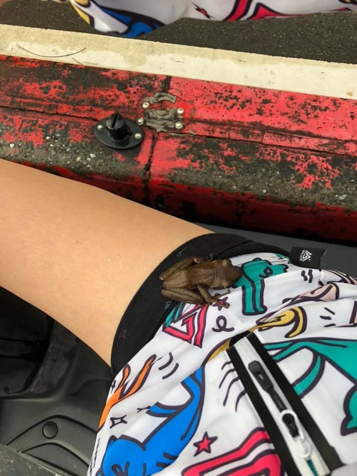 女網友遇到真實版旅蛙搭便車。（圖／翻攝自Facebook／爆怨2公社）