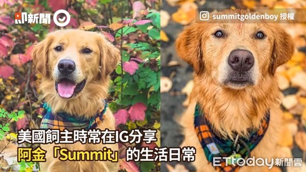 ▲▼Summit。（圖／IG帳號@summitgoldenboy提供）