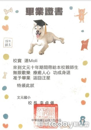 ▲文元國小校犬「連moli」離世！　校長親頒畢業證書和師生一起送別。（圖／粉專「文元校寶