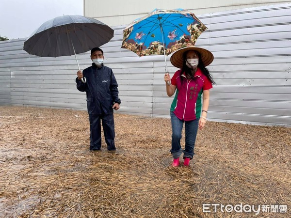 ▲▼彰化伸港和美等處因豪大雨嚴重淹水，縣議員賴清美視察。（圖／記者李忠憲翻攝）