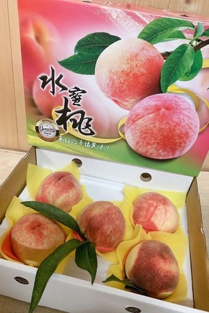 ▲▼梨山水蜜桃。（圖／旅奇傳媒提供）
