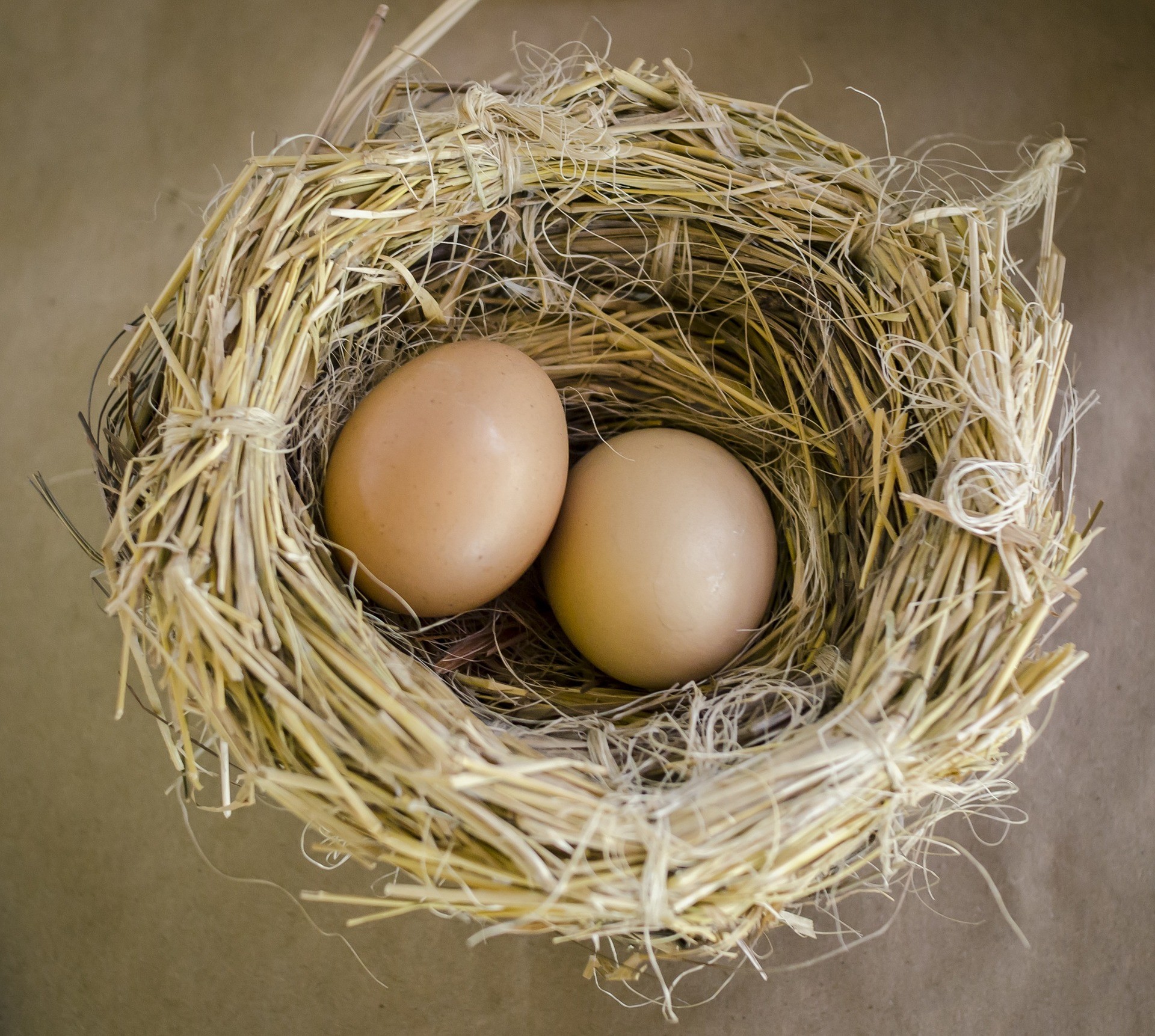 ▲▼鳥巢,蛋。（圖／Pixabay）