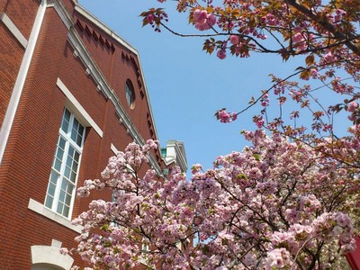 買盒牛舌跟萩之月回家吧 仙台必買6大人氣伴手禮 Ettoday旅遊雲 Ettoday新聞雲