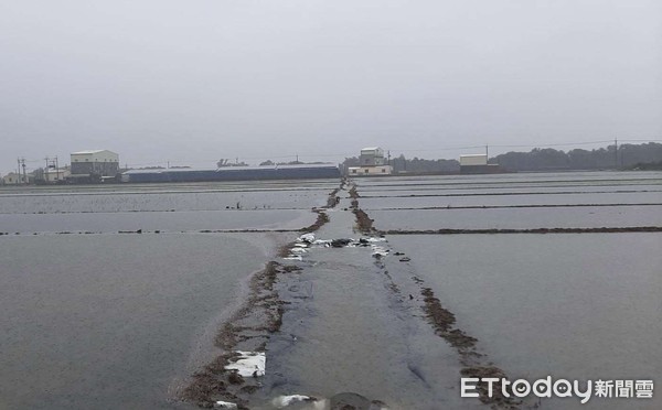 ▲雲林縣豪大雨造成農損災情，至2日止包括落花生、西瓜、玉米、甘藷、洋香瓜、香瓜，以及養禽場災損達986萬元。（圖／記者蔡佩旻翻攝）