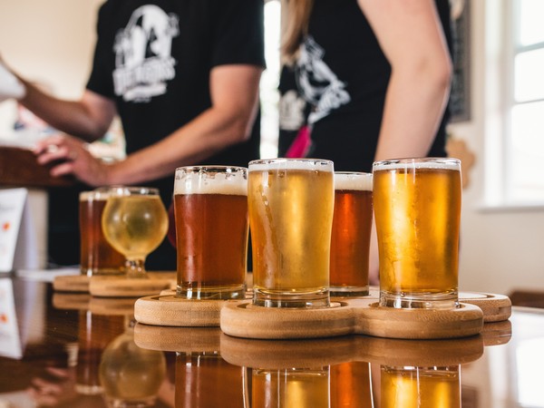 ▲cheers,beer,啤酒,乾杯。（圖／取自免費圖庫Unsplash）