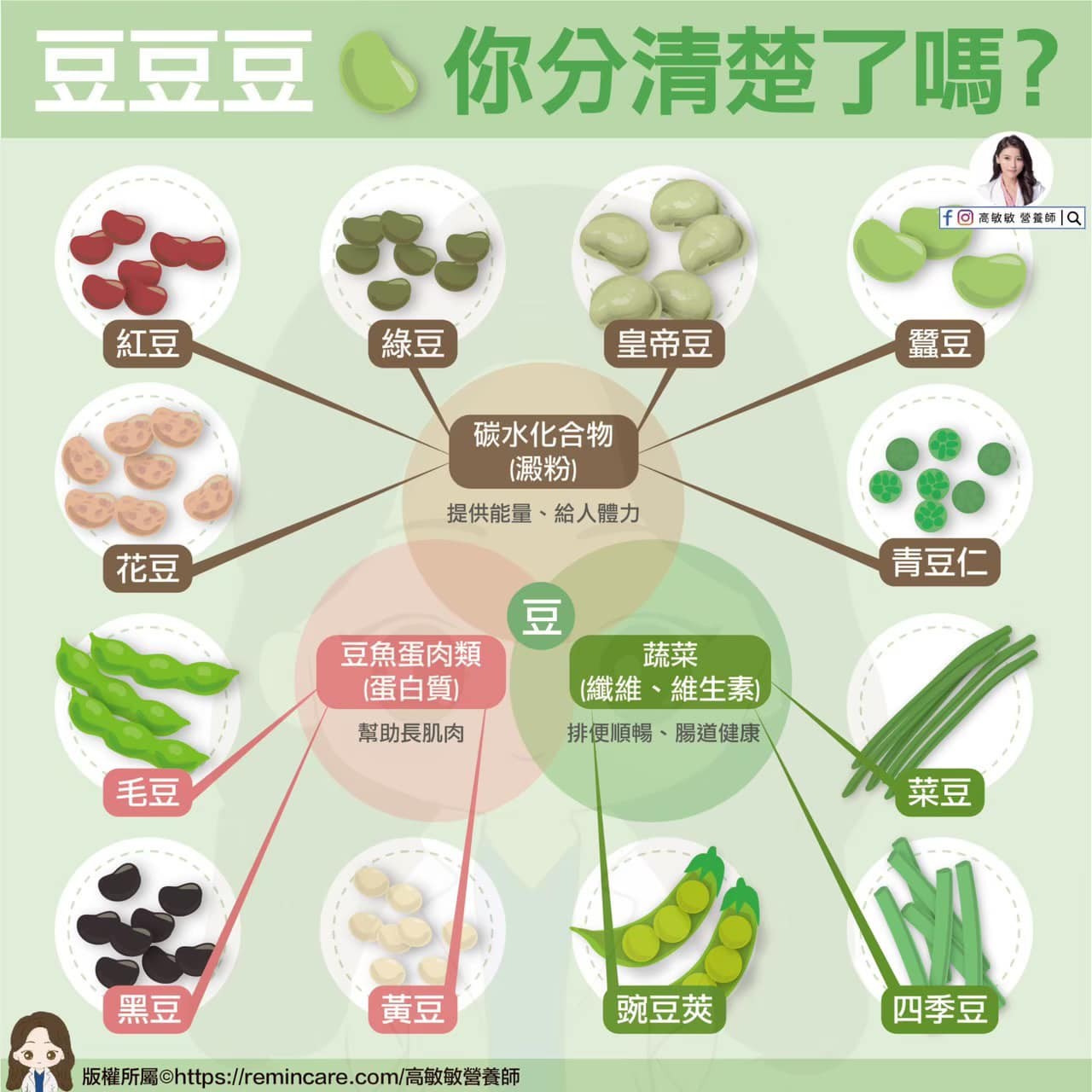 綠豆不是菜！一次搞懂「12種豆豆」分類　減肥必吃款曝光。（圖／營養師高敏敏授權提供）