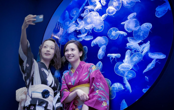 ▲桃園青埔「Xpark水族館」8/7迎來開幕一週年，特別將館內打造出各式日本夏日趣味活動。（圖／Xpark提供）
