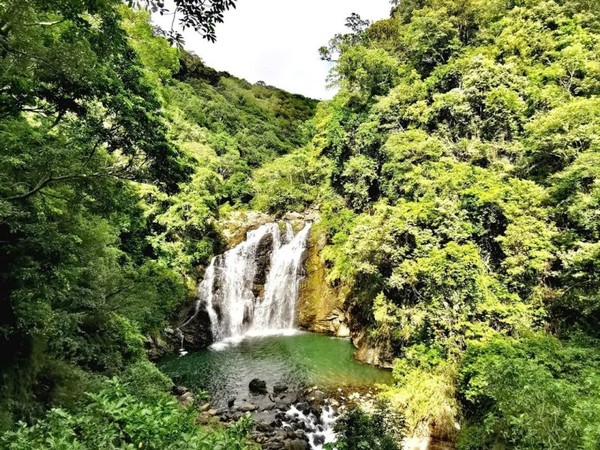 ▲（圖／網友 IG@yao.yao4628 提供，請勿隨意翻拍，以免侵權。）