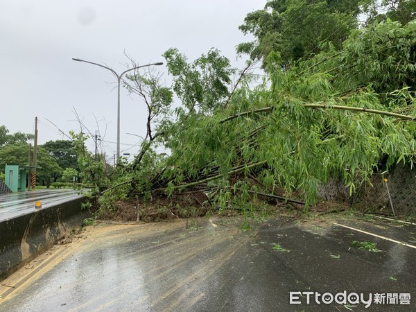 ▲受盧碧颱風氣流影響，台南山區連日降豪雨，左鎮區台20線25K處，5日下午突發生山坡滑動，造成坡上竹林之竹子大量滑落，單向交通中斷。（圖／記者林悅翻攝，下同）