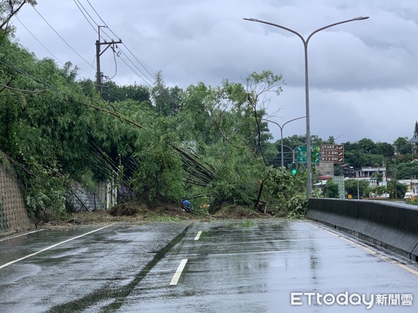 ▲受盧碧颱風氣流影響，台南山區連日降豪雨，左鎮區台20線25K處，5日下午突發生山坡滑動，造成坡上竹林之竹子大量滑落，單向交通中斷。（圖／記者林悅翻攝，下同）