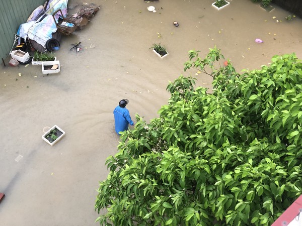 ▲▼彰化縣各地傳出淹水災情。（圖／賴清美陳啟峰提供）