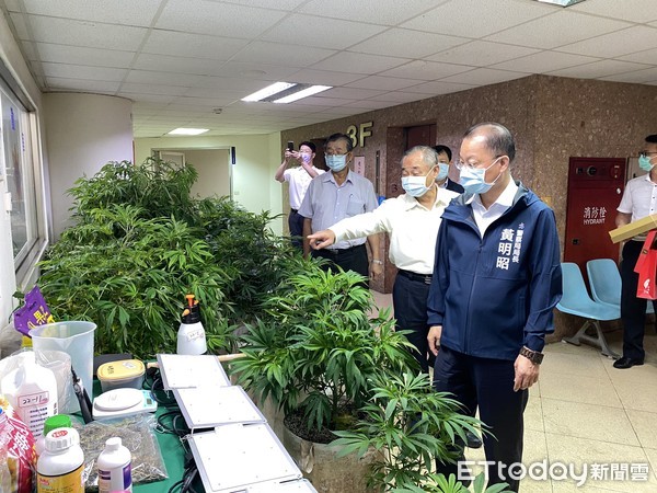 ▲屏東一名劉姓海軍退伍士官種植大麻被破獲，高雄市警察局長黃明昭前來頒發破案茶  。（圖／記者吳奕靖翻攝）