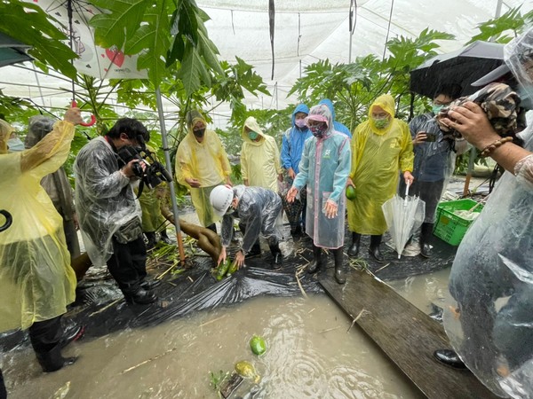 ▲▼高雄市長陳其邁視察豪雨農損災情。（圖／記者賴文萱翻攝）