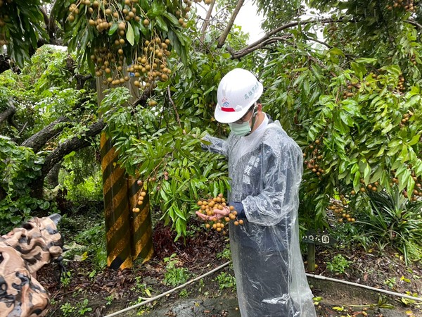 ▲▼高雄市長陳其邁視察豪雨農損災情。（圖／記者賴文萱翻攝）