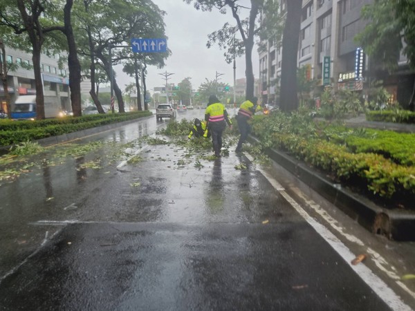 ▲▼高雄暴雨災情不斷，市區路樹橫躺一地。（圖／記者賴文萱翻攝）