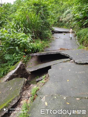 ▲古坑鄉山區因大雨加上地震，零星有土石崩落，雲212線8k十300處樹木崩塌造成短暫交通中斷，命前已可雙向通車。（圖／民眾提供）