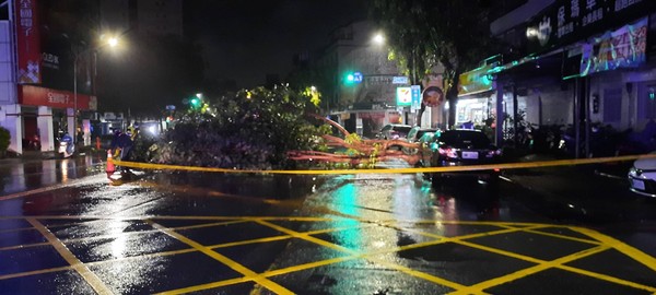 ▲苓雅區建國一路路樹倒塌，砸中3輛車 。（圖／記者洪靖宜翻攝）