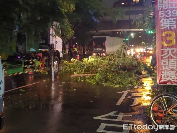 ▲▼台中市區出現路樹倒塌。（圖／民眾提供）
