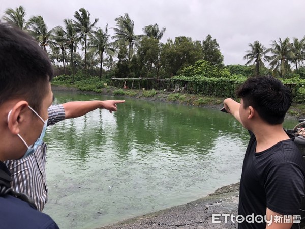 ▲高雄一名婦人跌落魚塭，就起已經沒有呼吸心跳           。（圖／記者吳奕靖翻攝）