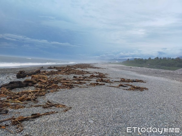 ▲台東海灘出現漂流木。（圖／記者楊漢聲翻攝）