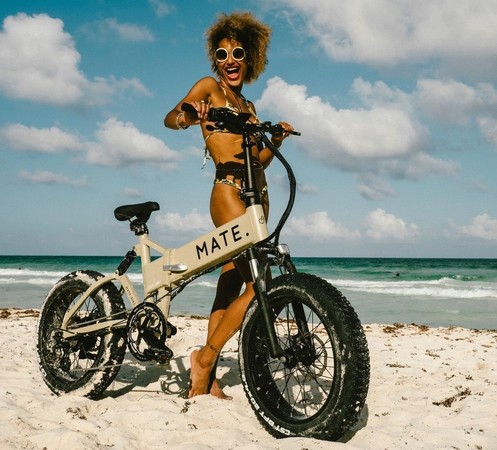 連電動自行車都能騎去玩「泥巴」　丹麥Mate.Bike「12.5萬元」在台開賣（圖／翻攝自三一國際）