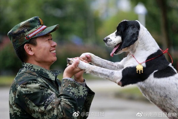 ▲▼歐陽洪洪與搜救犬冰潔。（圖／翻攝自「南京日報」）