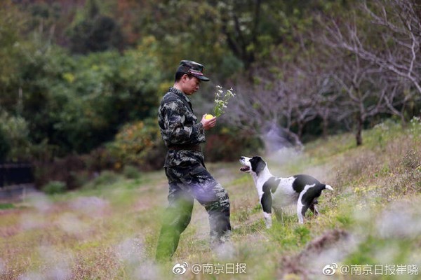 ▲▼歐陽洪洪與搜救犬冰潔。（圖／翻攝自「南京日報」）